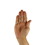 hand, stop, sign language