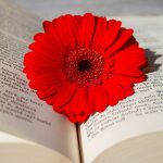 a book, beautiful flowers, open book